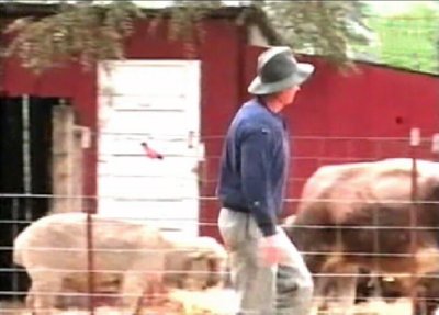 GRANJERO (1)  CAMPESINOS